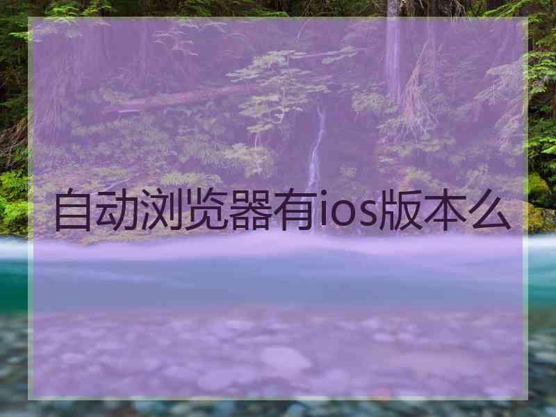 自动浏览器有ios版本么